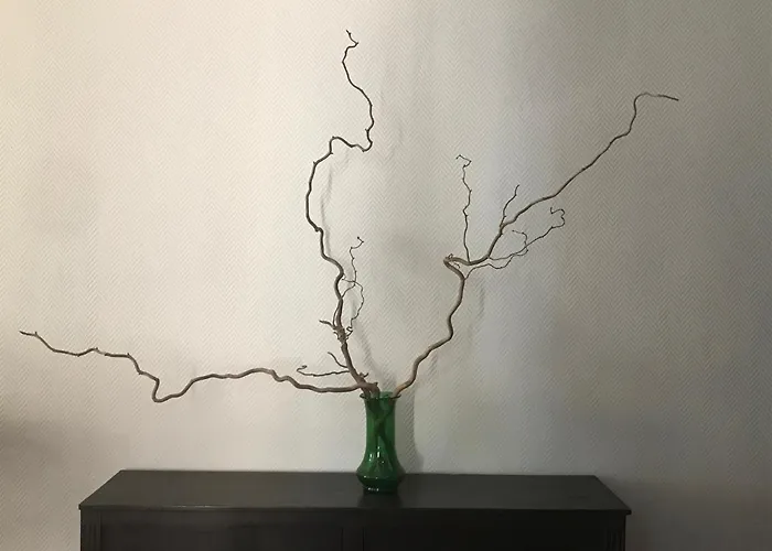 Le Clos Saint Michel Lägenhet